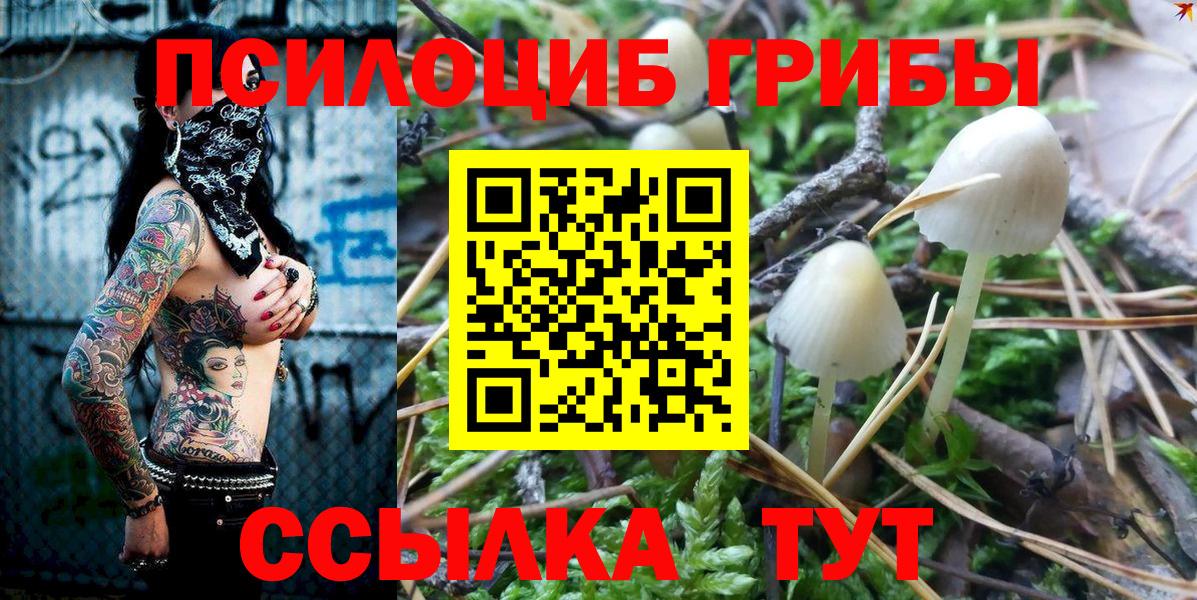 Галлюциногенные грибы GOLDEN TEACHER  Вход с VPN  Алатырь 